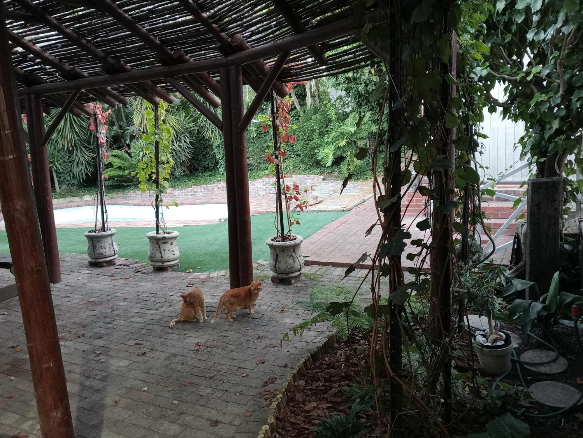 Marinda'S B&B Città del Capo Esterno foto